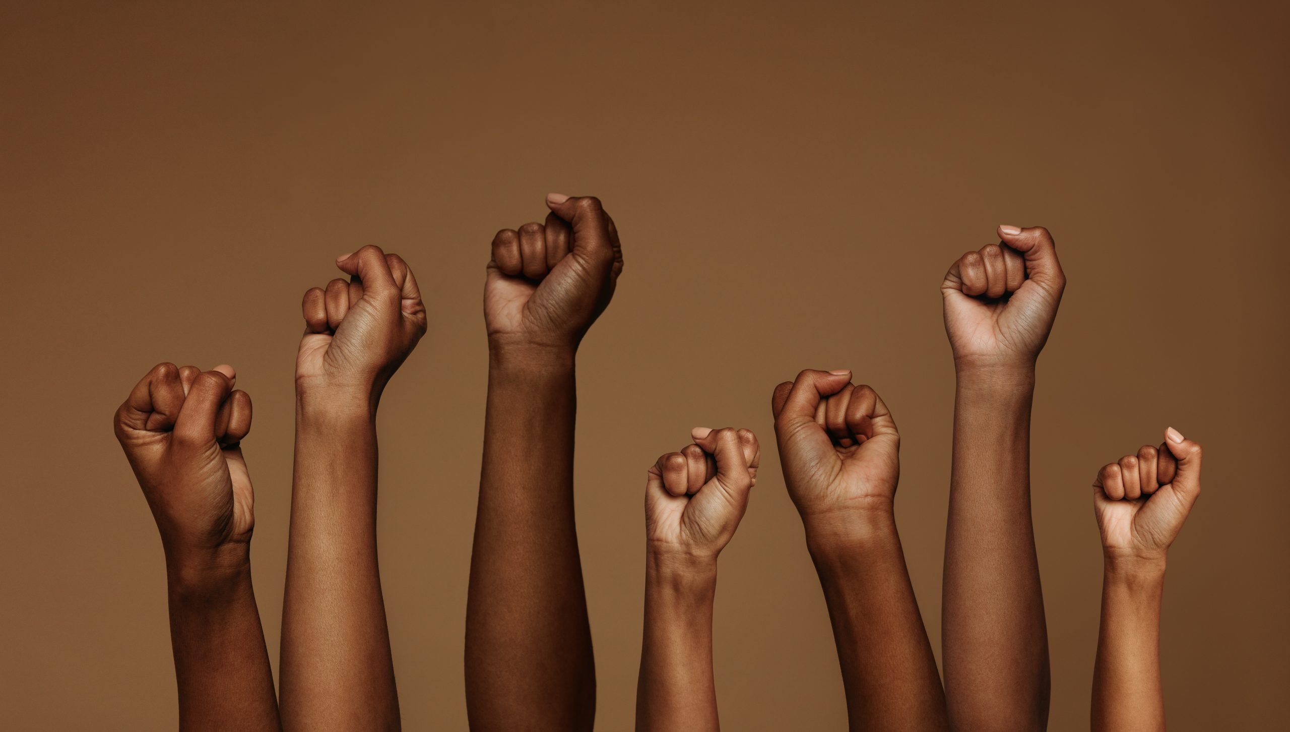 Black and brown fists raised in the air